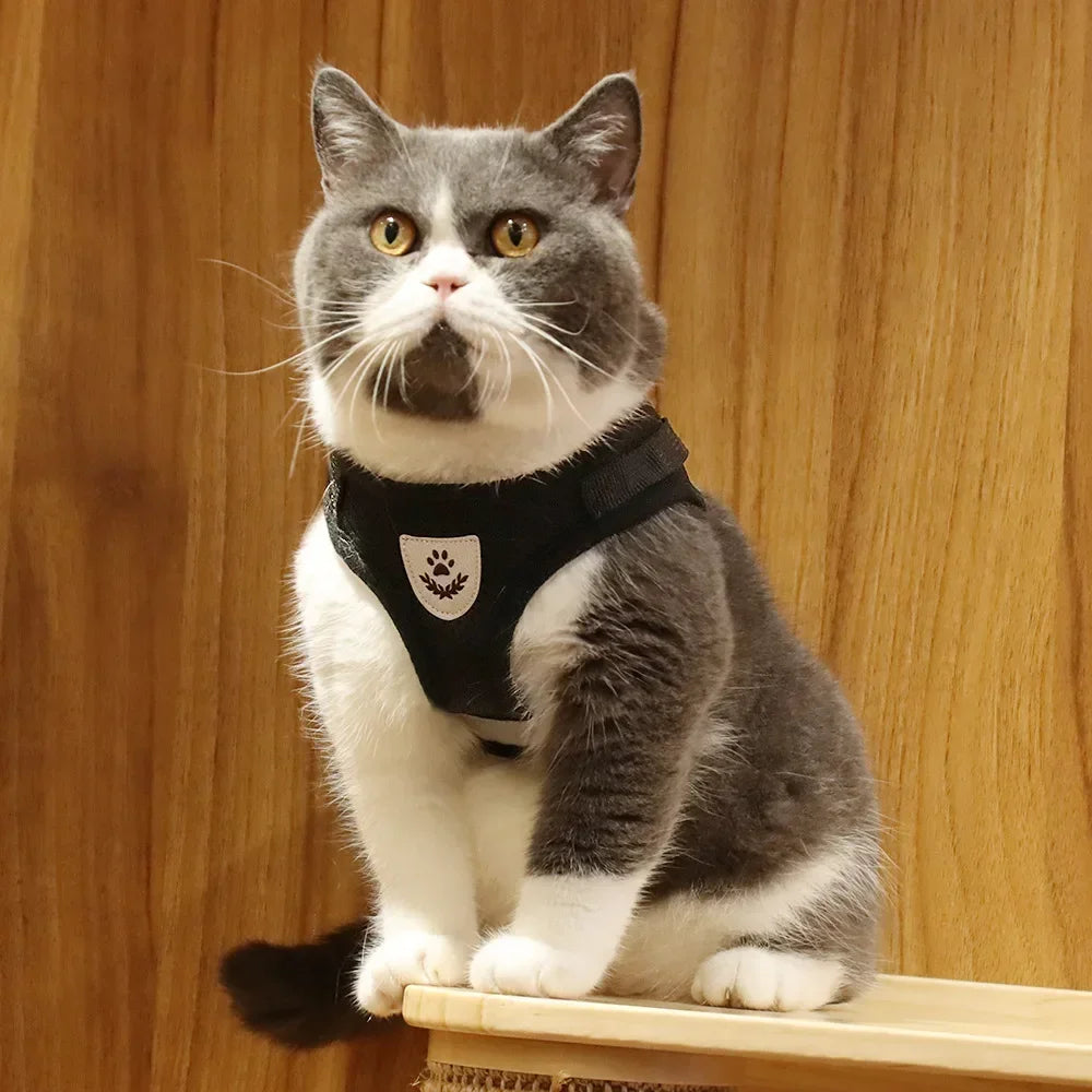 Conjunto de coleira de chumbo para gatos, ajustável, reflexivo, à prova de fuga, colete de malha para animais de estimação, coleira para cachorro, cachorro pequeno, gato, suprimentos para animais de estimação