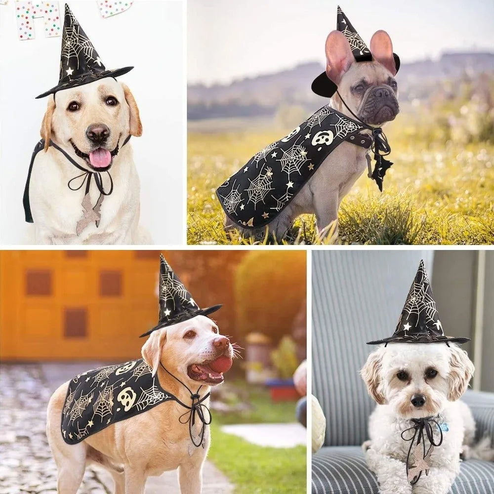 Engraçado abóbora animal de estimação trajes de halloween capa ajustável macio gatos cosplay roupas morcego preto halloween animal de estimação vestuário festa