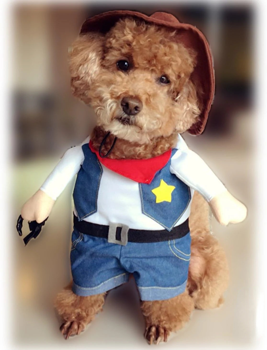 Trajes de Halloween para cães e gatos, uniforme de cowboy ocidental com chapéu, roupa engraçada de cowboy para animais de estimação, fantasia engraçada para gatos e cães pequenos