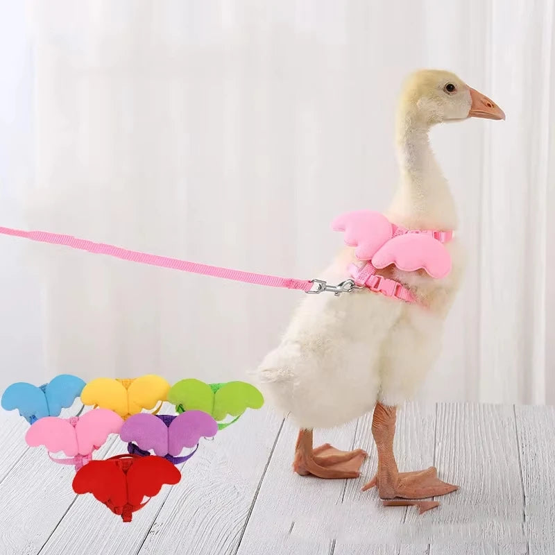 Coleira de pato com asa fofa, arnês de segurança para gato de estimação, filhote de cachorro, gatinho, corda de reboque ajustável, suprimentos para animais de estimação, animais pequenos