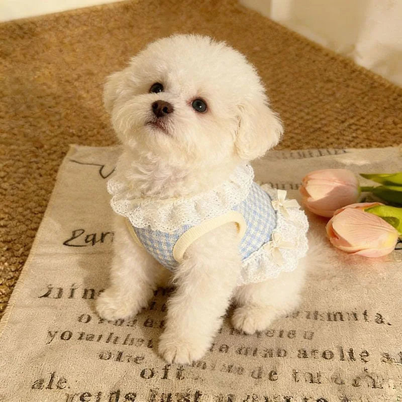 Roupas para cães e gatos, primavera/verão, respirável, confortável, estilo princesa, saia de renda com laço, para cães pequenos, ursinhos de pelúcia