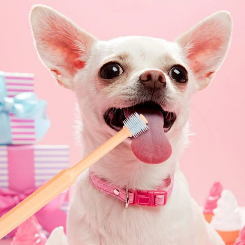 Pequena cabeça Pet Toothbrush, 360-degrees Dog Teeth Cleaning, Soft Hair Cat Tooth Brush, Pet Products