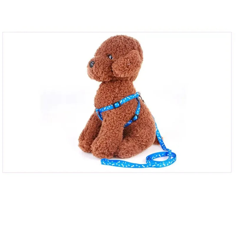 Coleira para Cães Pequenos, Coleiras para Filhotes, Conjunto de Coleira e Peitoral para Teddy, Conjunto de Corda de Guia Fofa