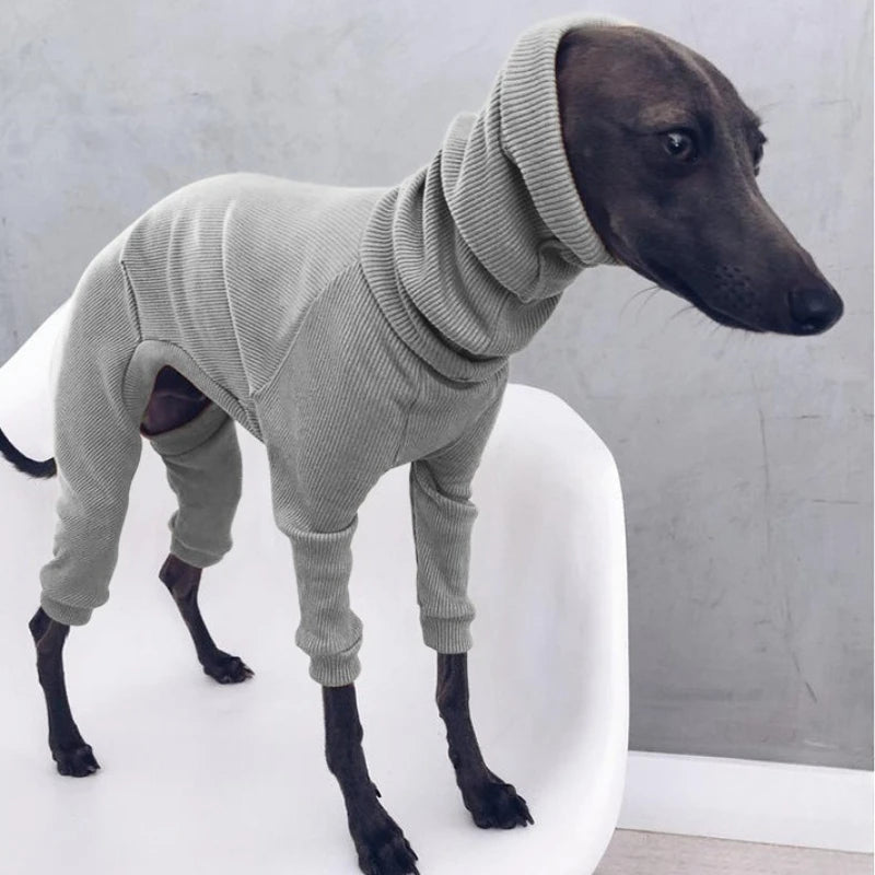 Roupa para Cães Greyhound Whippet Italianos, Pijama de Primavera para Cães de Porte Médio e Grande, Gola Alta, Terno de Quatro Patas S-5XL