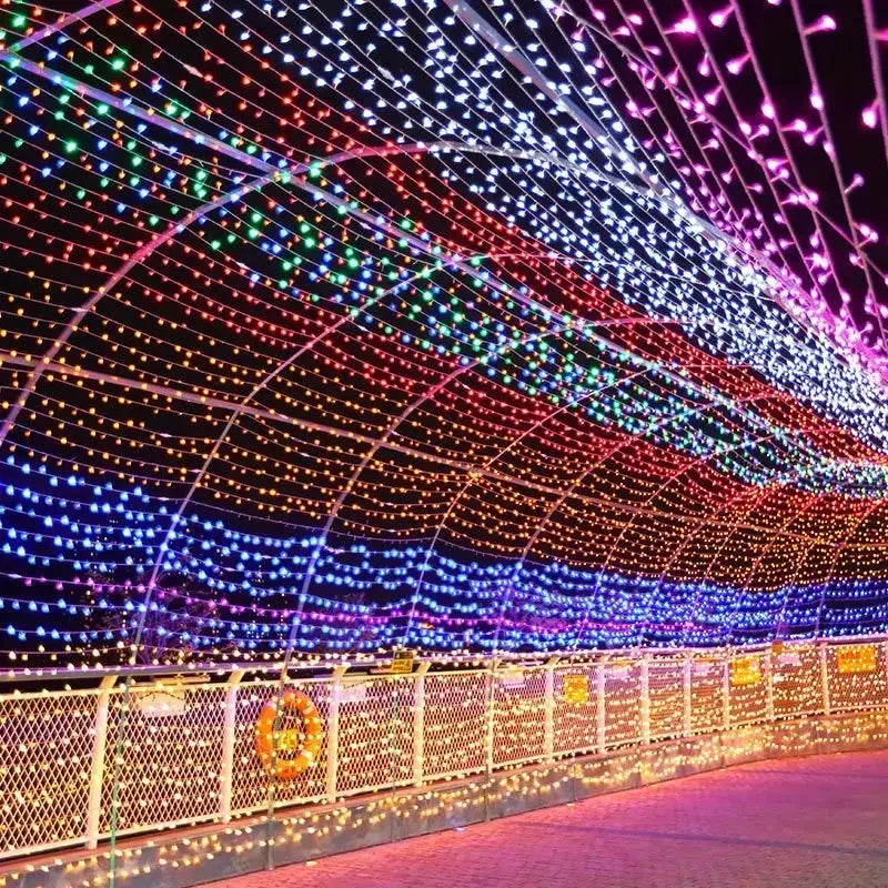Guirlanda de led luzes da corda 10m 30m 50m 100m árvore de natal decoração de casamento à prova dwaterproof água luz de fadas interior ao ar livre 220v lâmpada da ue