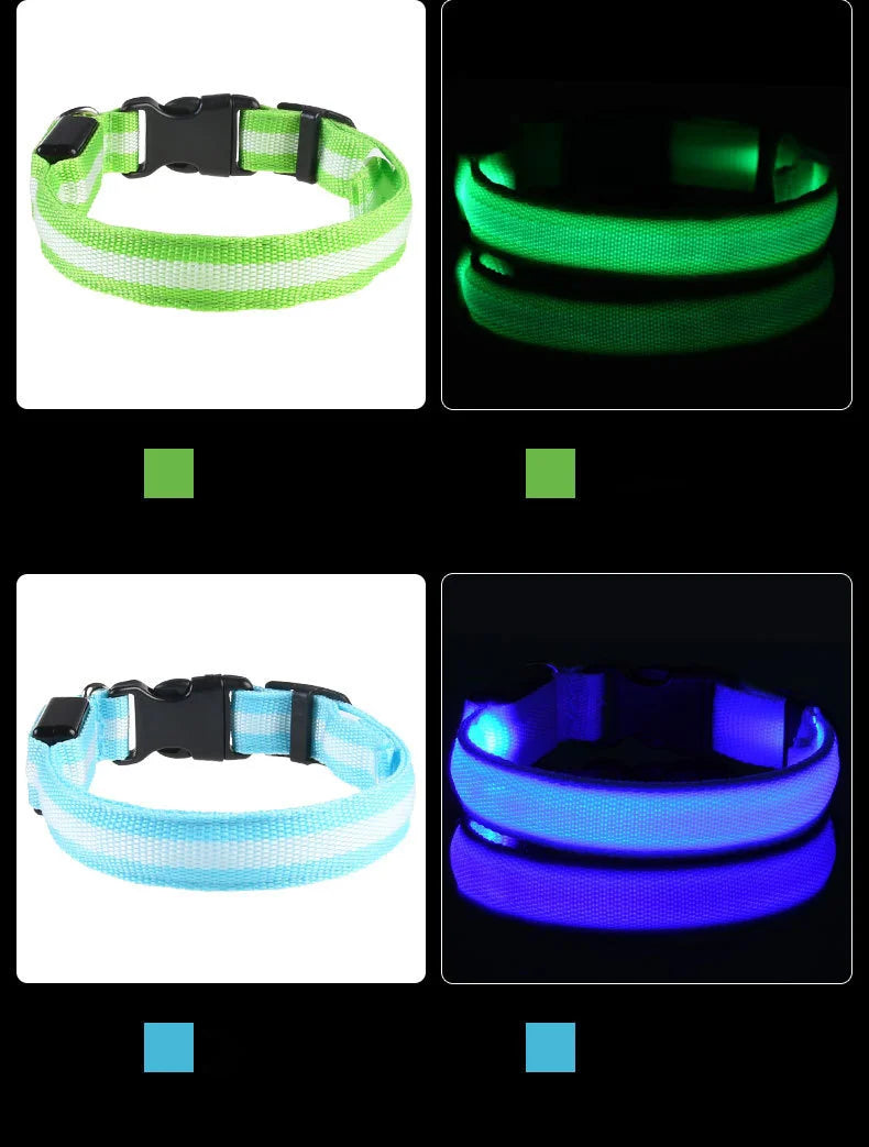 Nylon led noite segurança piscando brilho no escuro trela do cão cães luminoso fluorescente coleira do cão de estimação