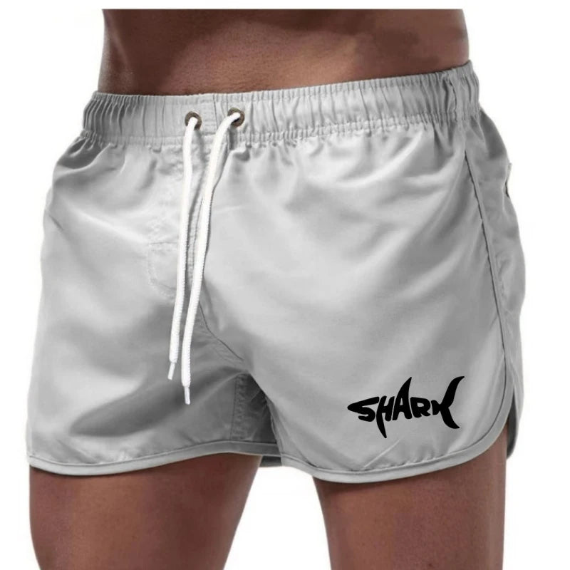 Men's Summer Mesh Quick-Drying Sports Shorts Casual Breathable Beach Pants for Outdoor Running Fitness