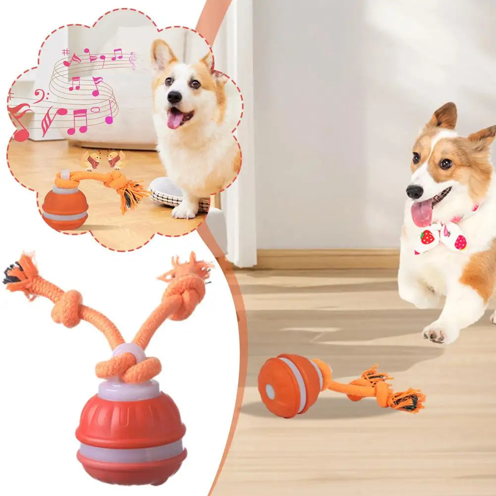 Bola Interativa para Cães, Brinquedo que Ativa com Movimento, Bola Rolante para Filhotes/Cães Pequenos, Brinquedo Automático Recarregável via USB