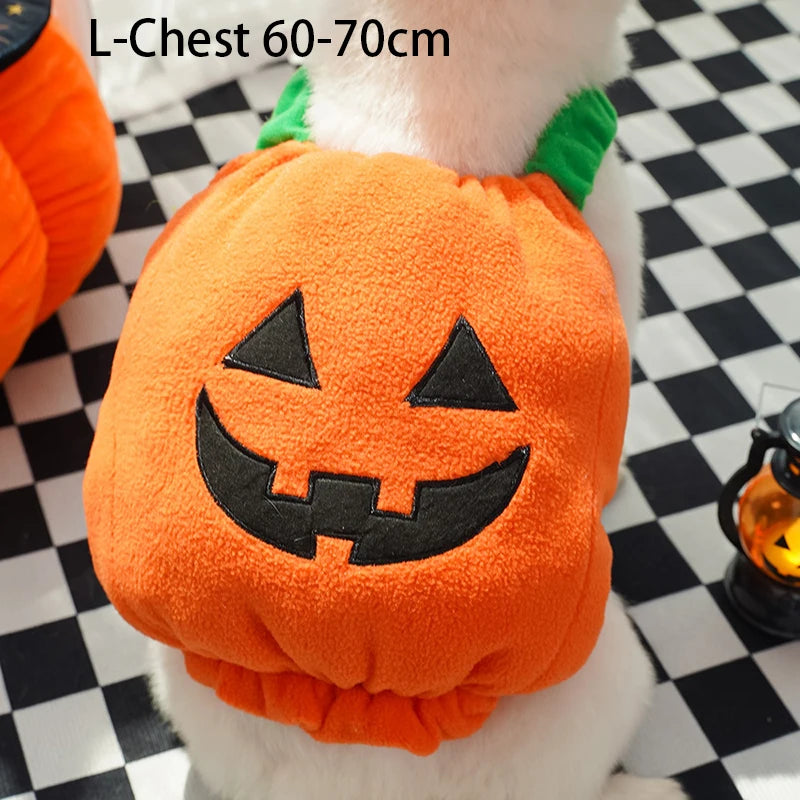 Fantasias de Halloween para Cães, Traje Engraçado de Abóbora Lanterna, Roupa de Transformação para Cães e Gatos de Duas Patas, Chapéu de Abóbora Fofo, Jaqueta para Cães