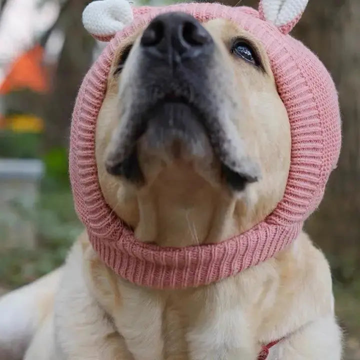 Chapéu de inverno aconchegante para animais de estimação, proteção para os ouvidos, chapéu quente para cães médios e grandes, ideal para caminhadas ao ar livre, clima frio, fantasia de férias Kasa & Pet