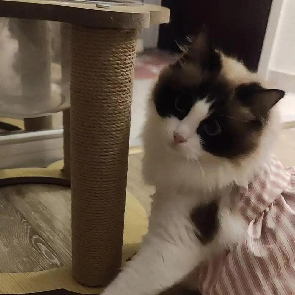 Poste Arranhador de Sisal para Gatos, Brinquedo Anti-Arranhões para Cuidado das Garras, Peças de Reposição Destacáveis DIY para Árvore de Gatos, Suprimentos Domésticos para Gatos de Estimação