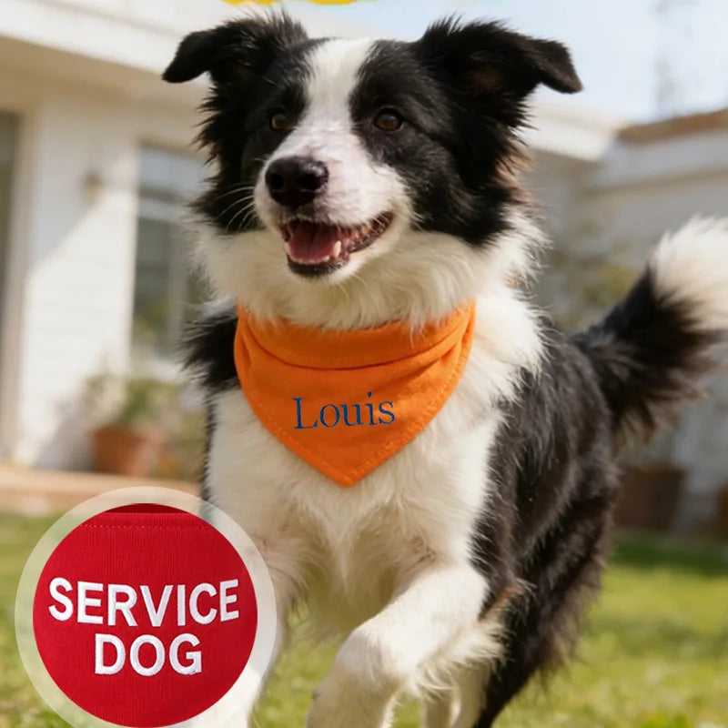 Bandana Personalizada Bordada para Cães, Lenço Triangular Ajustável Multicolorido Anti-Saliva para Pets