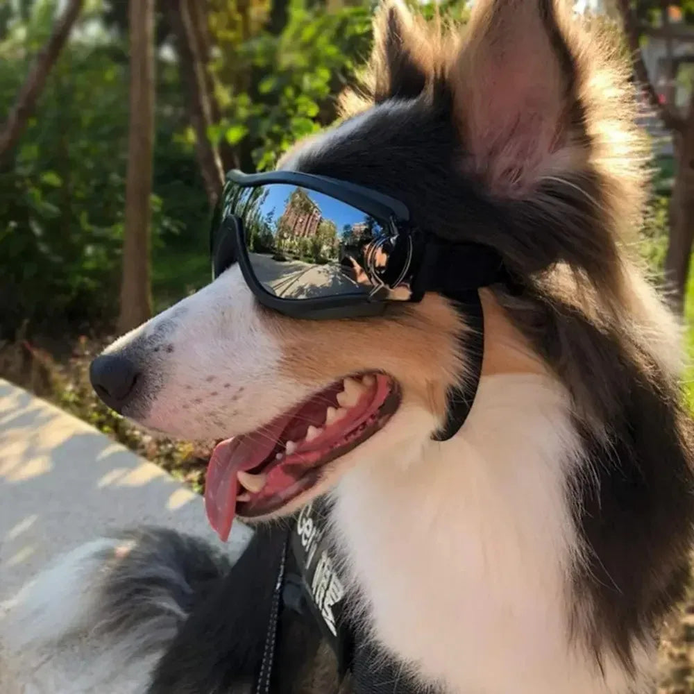 Óculos de sol ajustáveis para cães, com proteção UV, para uso em animais de estimação, proteção para os olhos, cor preta, óculos de sol para cães, artigos para cães.
