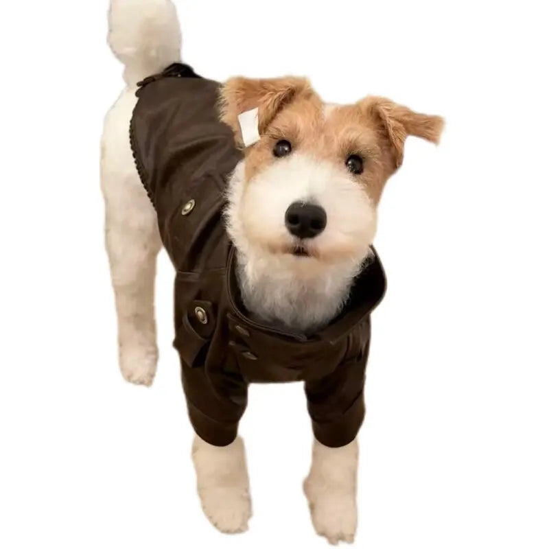 Roupa para Cães e Gatos: Jaqueta Motoqueiro de Couro PU Estilo Rocker para Cães, Preto e Marrom, Tamanhos S-XXL