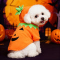 Fantasia de Abóbora para Cães, Oferta Imperdível de Halloween, Roupa Casual para Outono/Inverno.