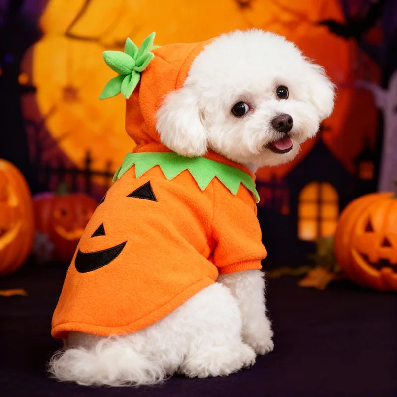 Fantasia de Abóbora para Cães, Oferta Imperdível de Halloween, Roupa Casual para Outono/Inverno.
