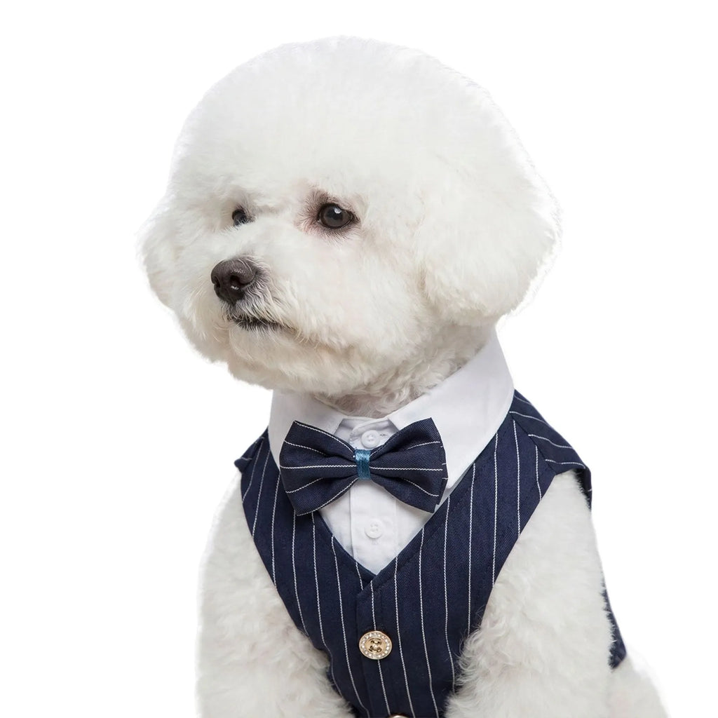Traje de Primavera para Cães de Estimação: Camisa e Colete de Smoking para Casamento, Fantasia de Cavalheiro para Teddy, Bichon e Cães Pequenos