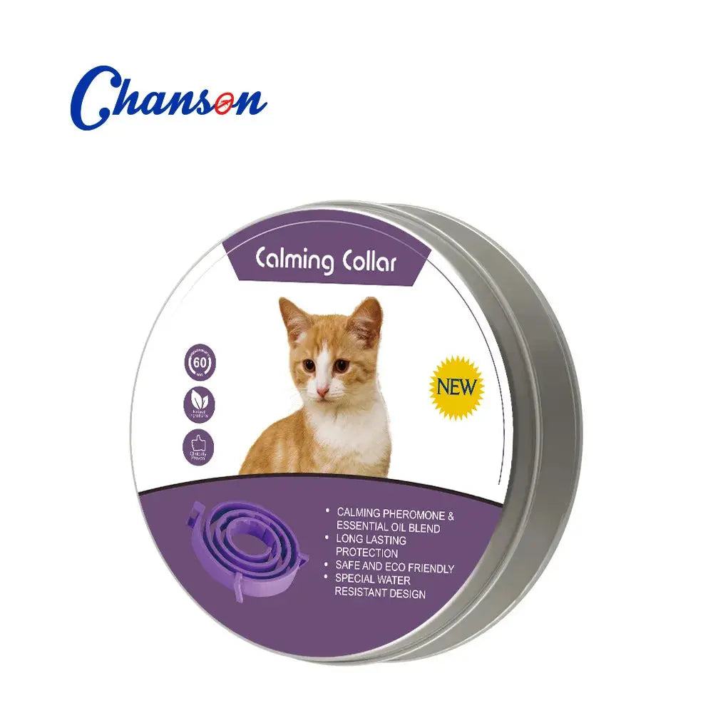 Dog1-orange-62cm