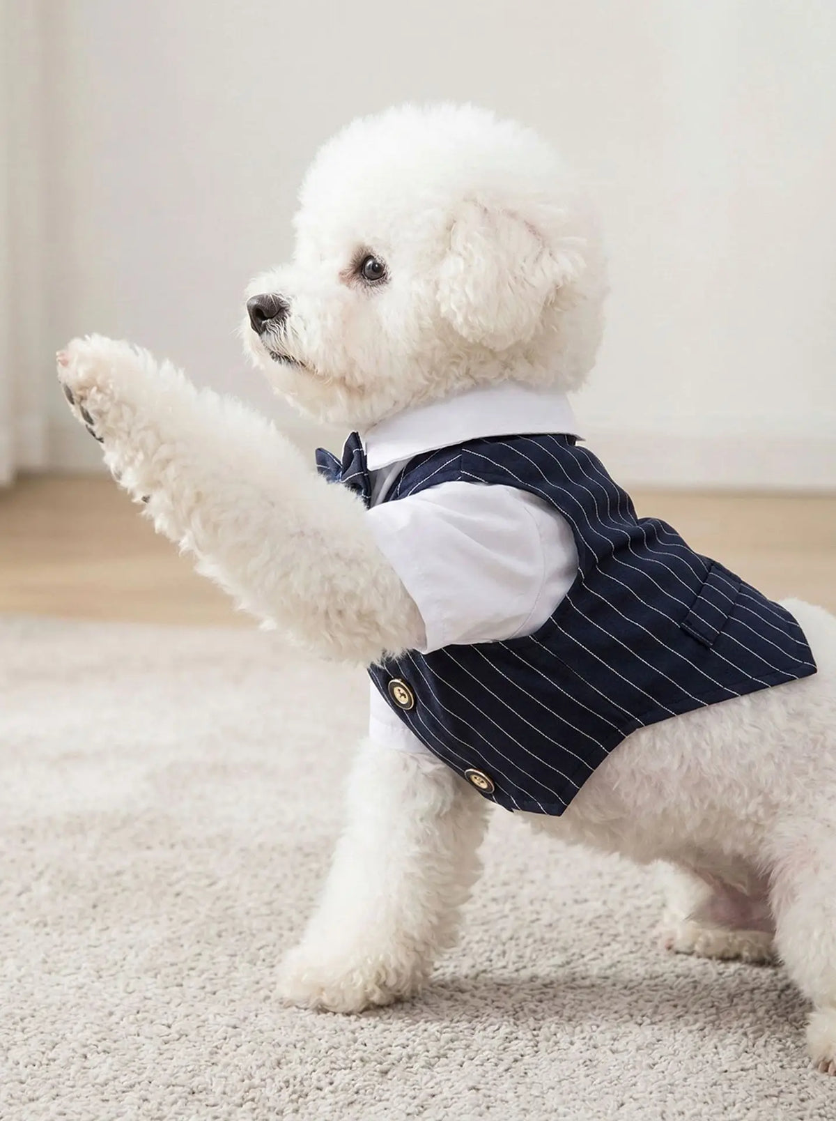 Traje de Primavera para Cães de Estimação: Camisa e Colete de Smoking para Casamento, Fantasia de Cavalheiro para Teddy, Bichon e Cães Pequenos