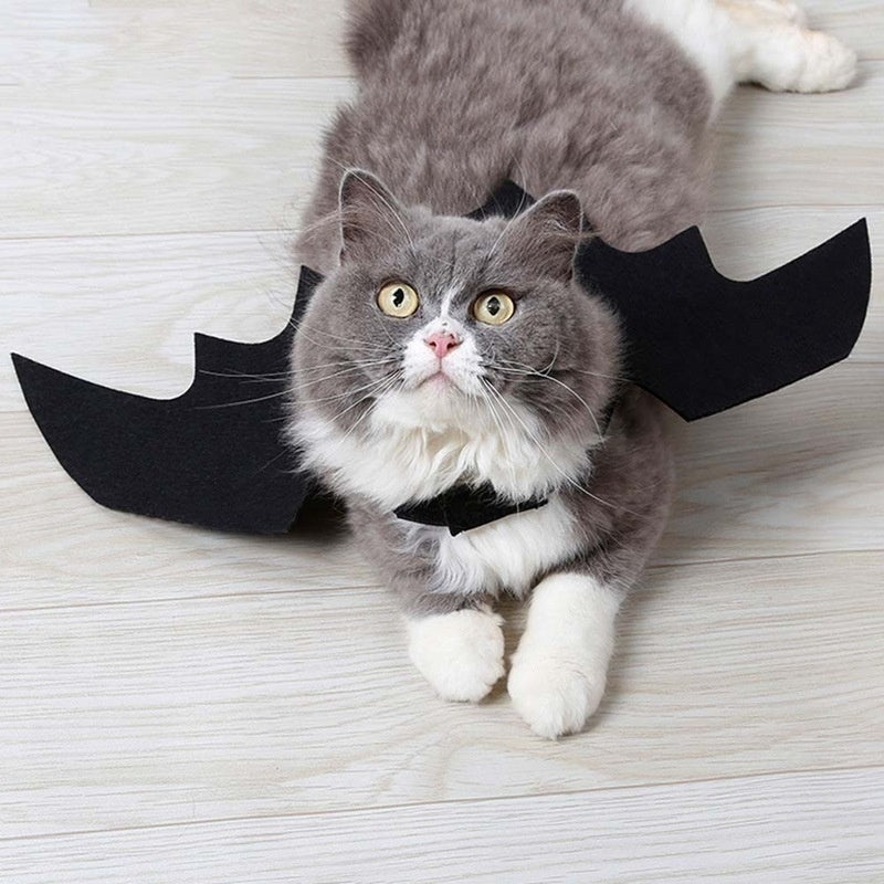 Halloween bonito roupas para animais de estimação preto morcego asas arnês traje cosplay gato cão festa de halloween para suprimentos para animais de estimação