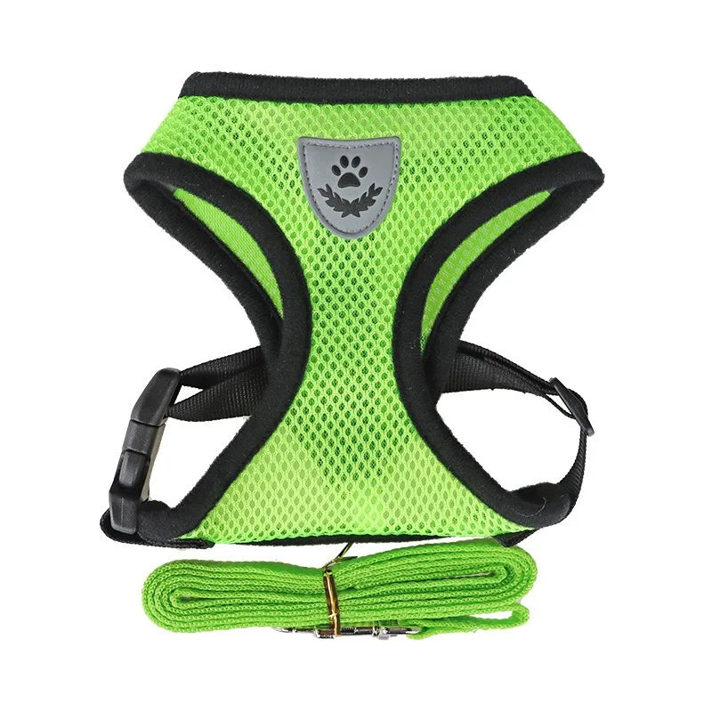 Trela e arnês para gatos, tenda para gatos, cinto de pescoço para gatos, anti-fuga, animais de estimação, colete, cinto de pescoço para cães mbd01 Kasa & Pet