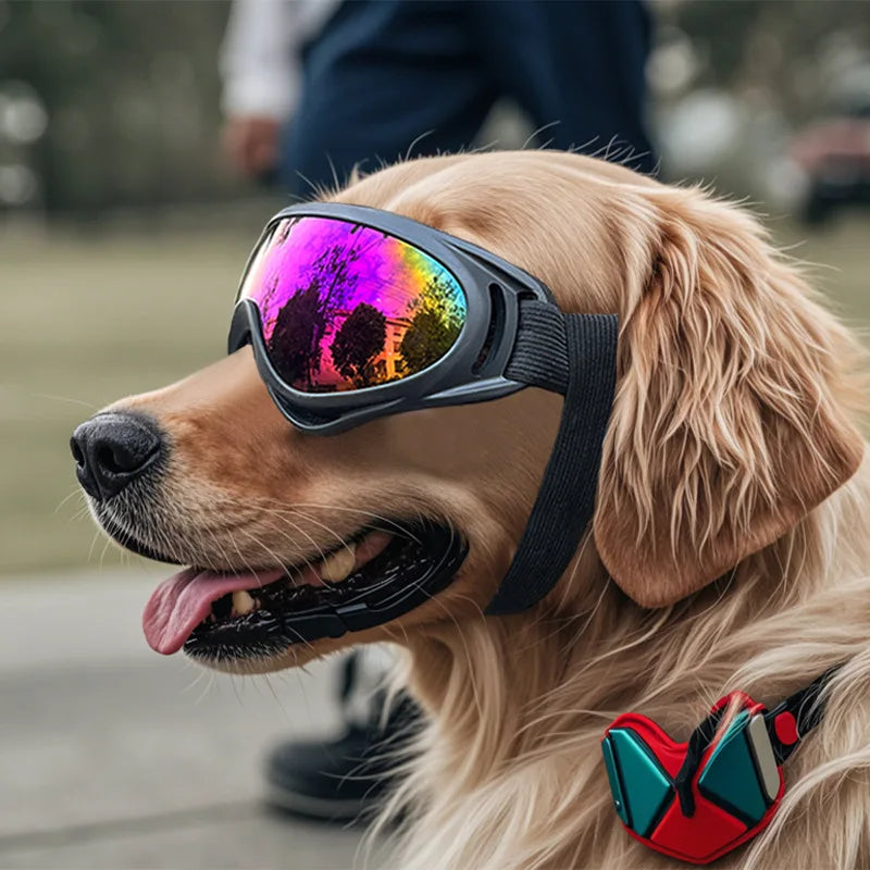Óculos de sol para cães ajustáveis, óculos de sol anti-uv, proteção para os olhos, preto, amplamente utilizado, suprimentos para cães de estimação
