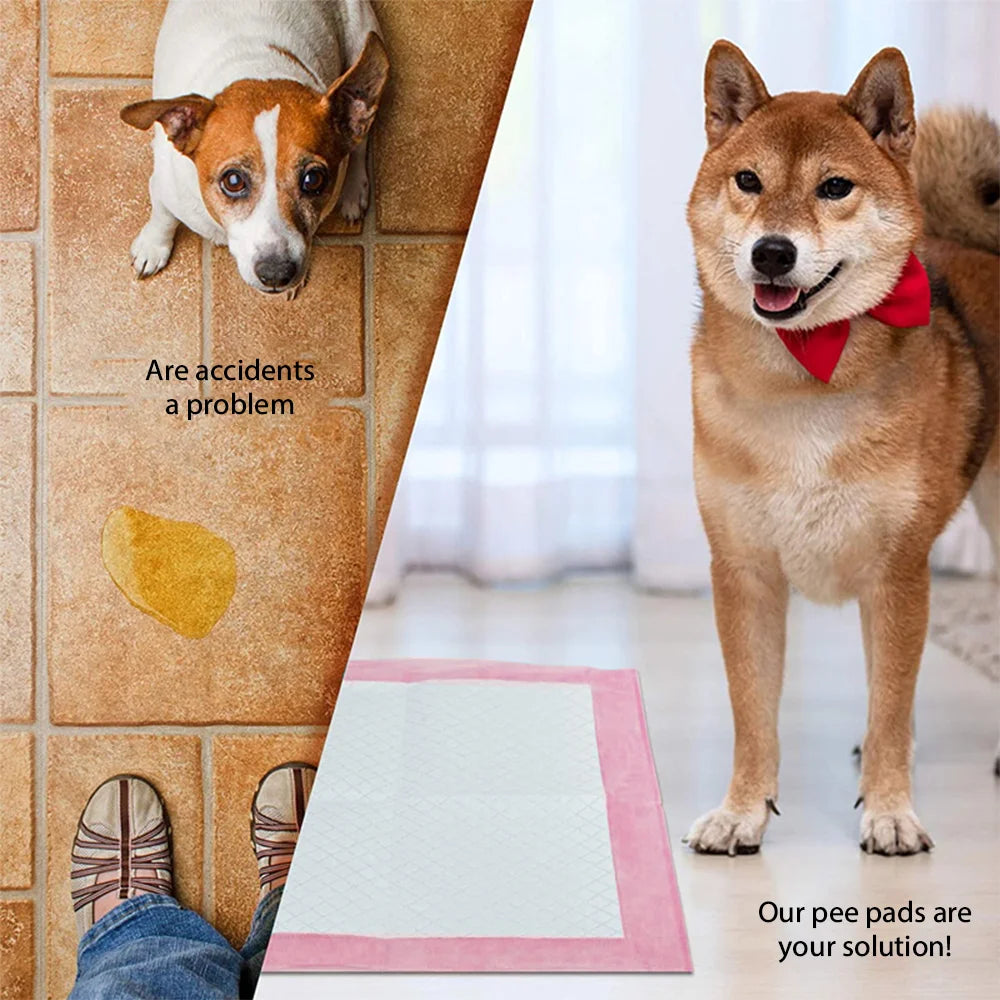 Fralda para animais de estimação, 50 peças, 60*90cm, 60*60cm, fraldas descartáveis para treinamento de cachorros, almofadas de xixi, superfície de secagem rápida, almofada limpa, fornecimento de cachorro