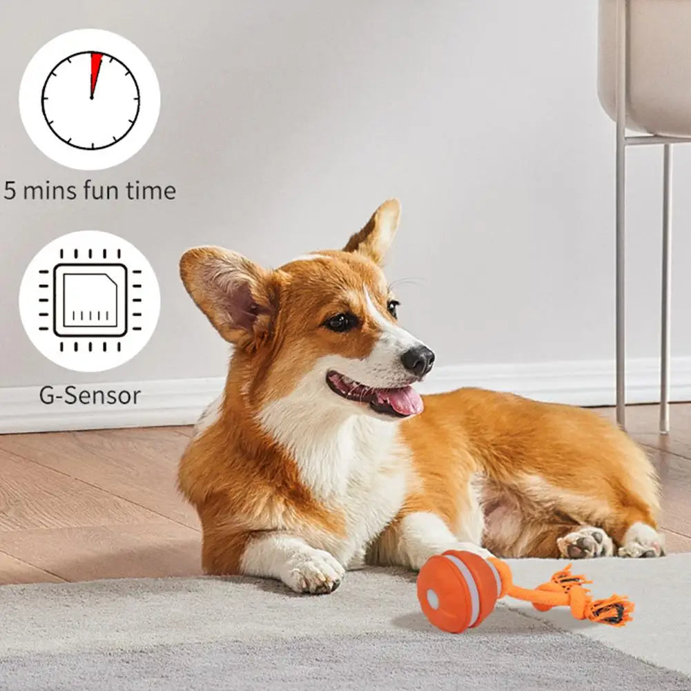 Bola Interativa para Cães, Brinquedo que Ativa com Movimento, Bola Rolante para Filhotes/Cães Pequenos, Brinquedo Automático Recarregável via USB