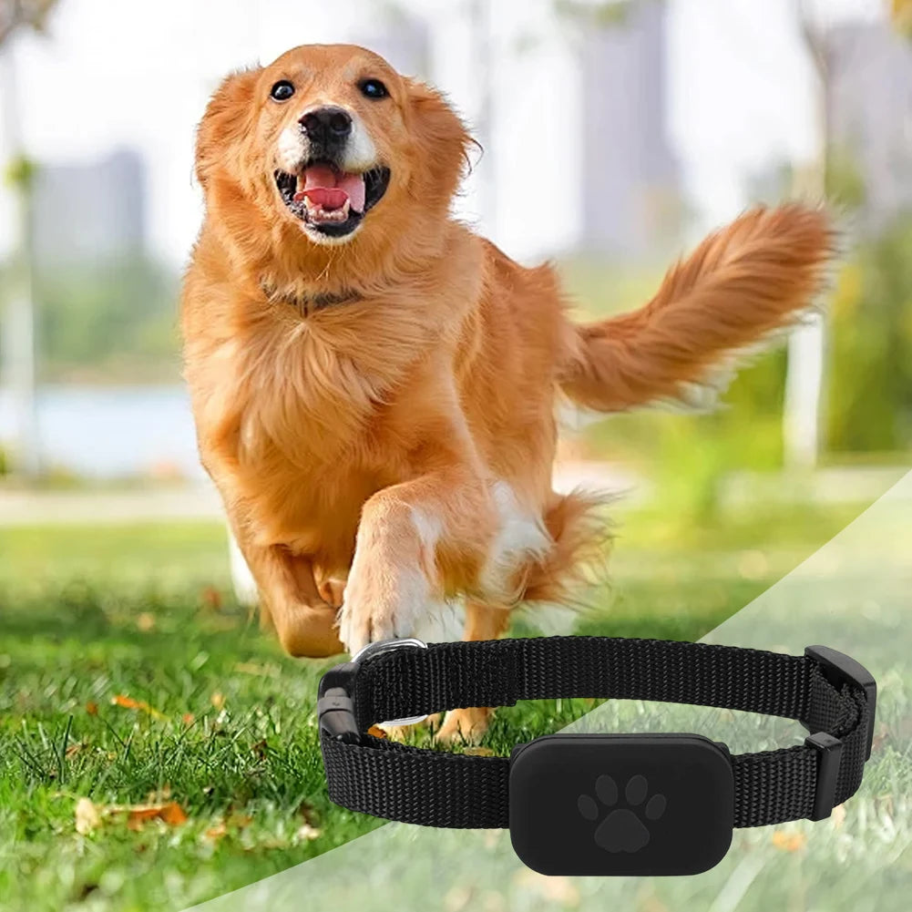 Rastreador GPS para animais de estimação com coleira ajustável Rastreador de cães Localizador inteligente de animais de estimação Rastreador de gatos para cães e gatos
