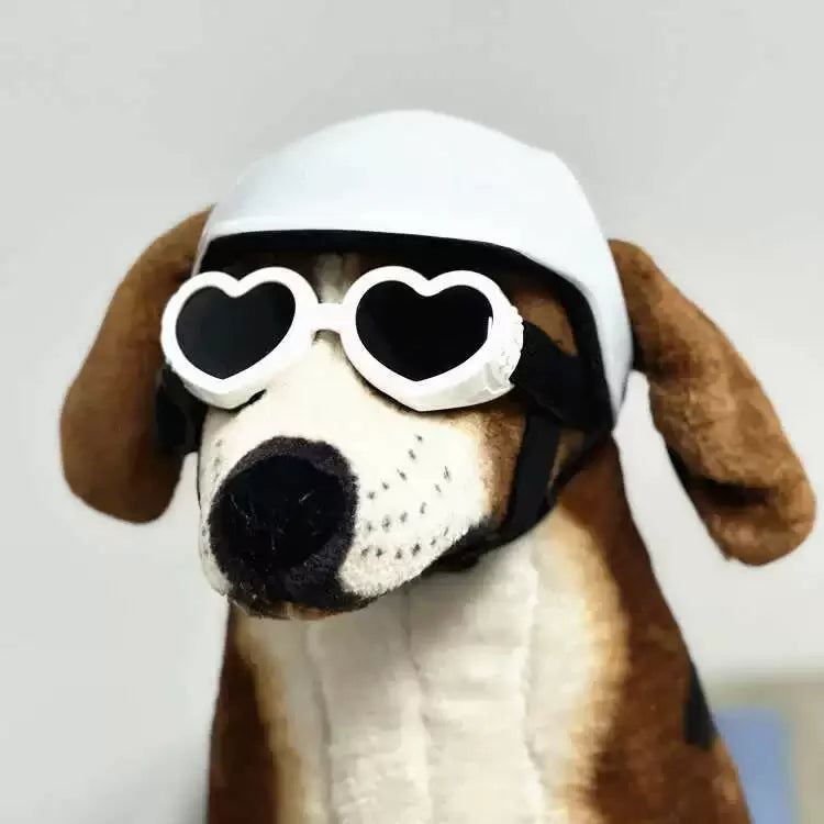 Capacetes para animais de estimação, capacete para gatos, capacete para cães, mini cabeça ao ar livre, chapéu seguro, capacete de motocicleta para cães, acessórios para fotos de animais de estimação