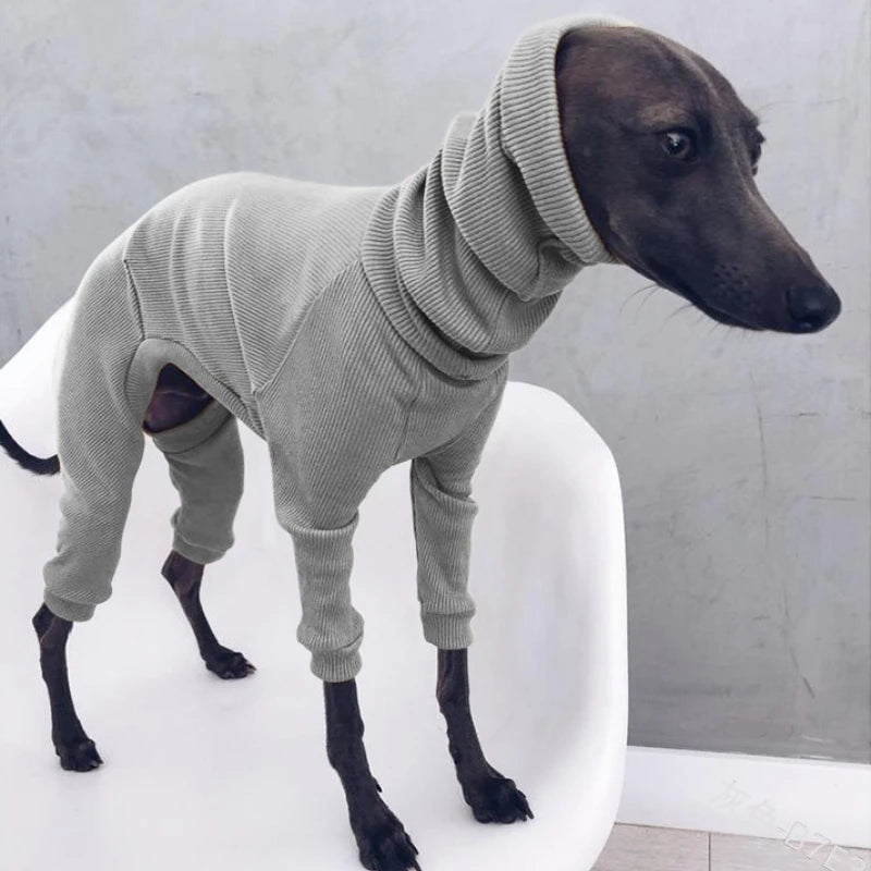 Roupa para Cães Greyhound Whippet Italianos, Pijama de Primavera para Cães de Porte Médio e Grande, Gola Alta, Terno de Quatro Patas S-5XL