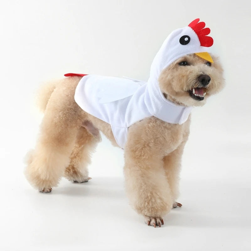 Fantasia luxuosa para cachorro, roupa elegante para cachorro, roupa elegante para festival, y5gb