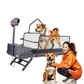 Esteira Elétrica para Animais de Estimação, Equipamento de Treinamento Esportivo para Cães, Máquina de Caminhada e Corrida com Inclinação Ajustável