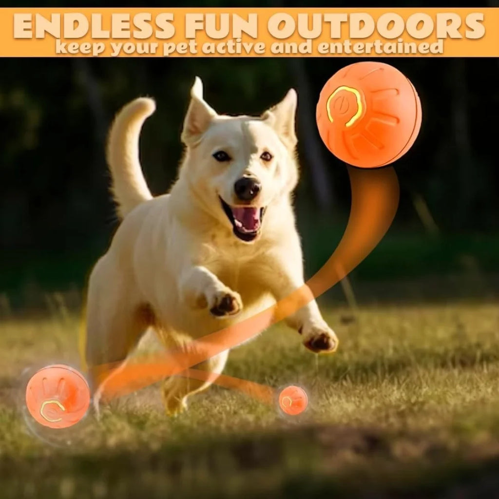 Brinquedos para animais de estimação: bola elétrica com mecanismo de gravidade, bola inteligente que salta, para cães e gatos.