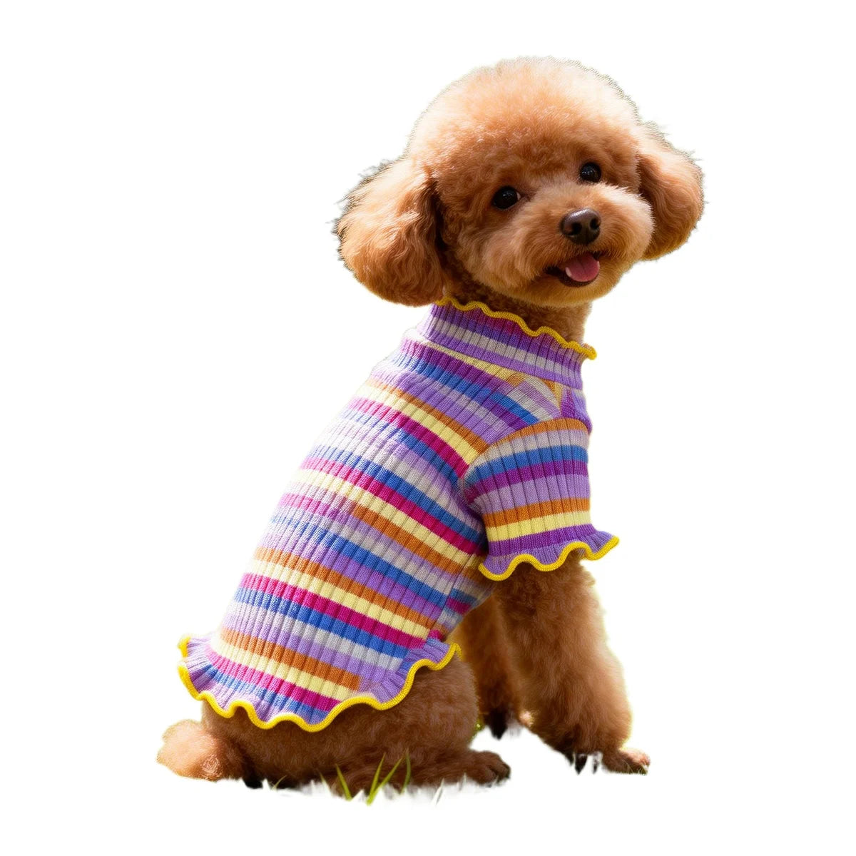 Roupas para Cães e Filhotes: Colete, Camiseta, Camisa, Vestido e Saia Fofos de Primavera, Camiseta de Base e Fantasia para Cães