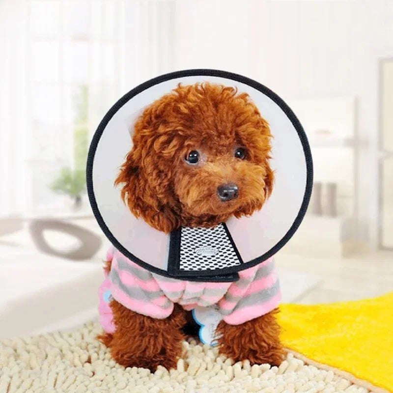 Coleira anti mordida Elizabeth para cães pequenos e grandes, anel de recuperação Cone, gatos cicatrização de feridas no pescoço