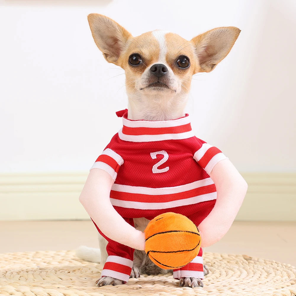 Fantasia de Basquete para Pets de Halloween com Bola 3D, Roupa Divertida de Cosplay Esportivo para Cães Pequenos e Médios, Vestuário para Pug, Sessões de Fotos e Brincadeiras