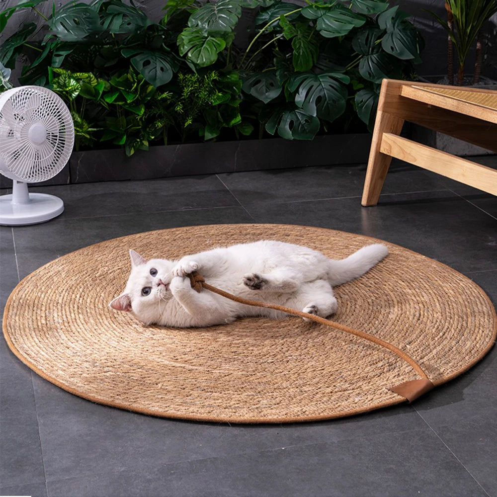 Gato scratcher rattan esteira placa gato zero para afiar unhas raspador gatos árvore gato arranhando post sofá esteiras protetor de móveis