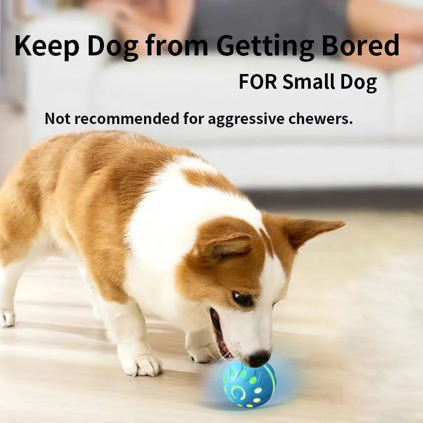 Bola de brinquedo para animais de estimação, bola elétrica para cães, brinquedo interativo recarregável por USB, bom companheiro para cães