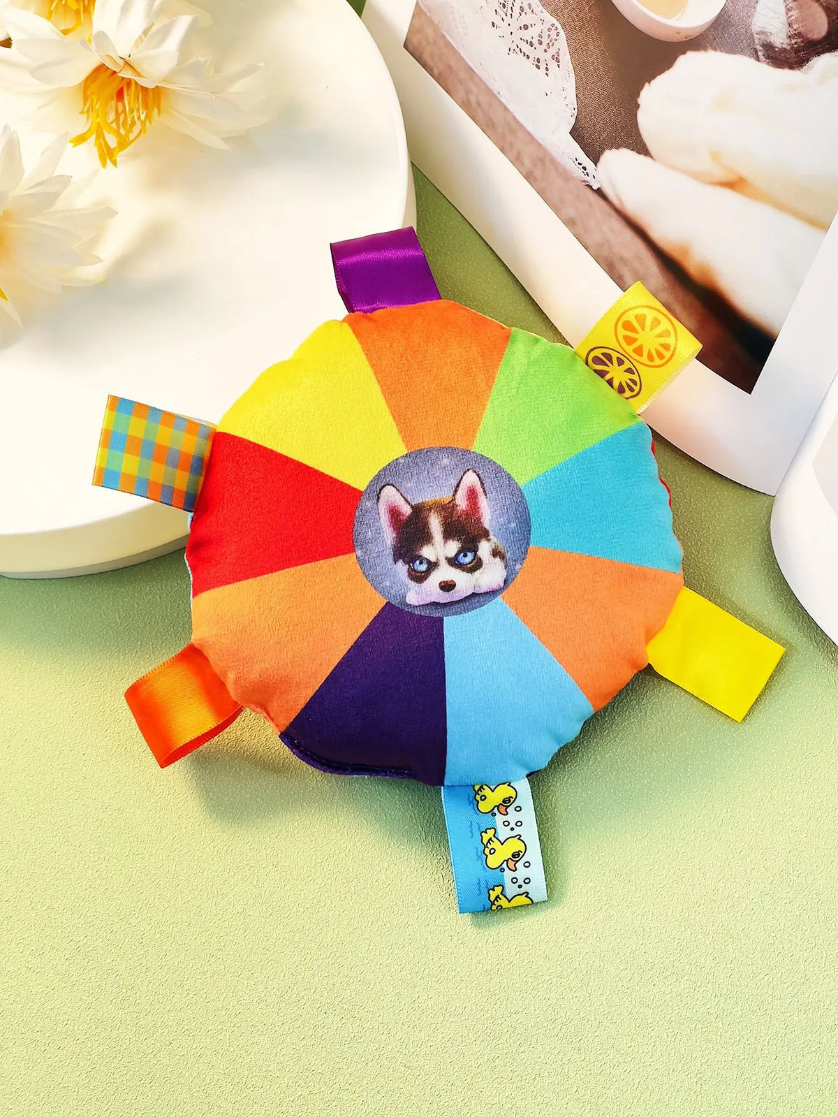 Brinquedos coloridos e sonoros em forma de disco voador, feitos de pelúcia, resistentes a mordidas, ideais para cães e gatos, para brincar, treinar e estimular a dentição.