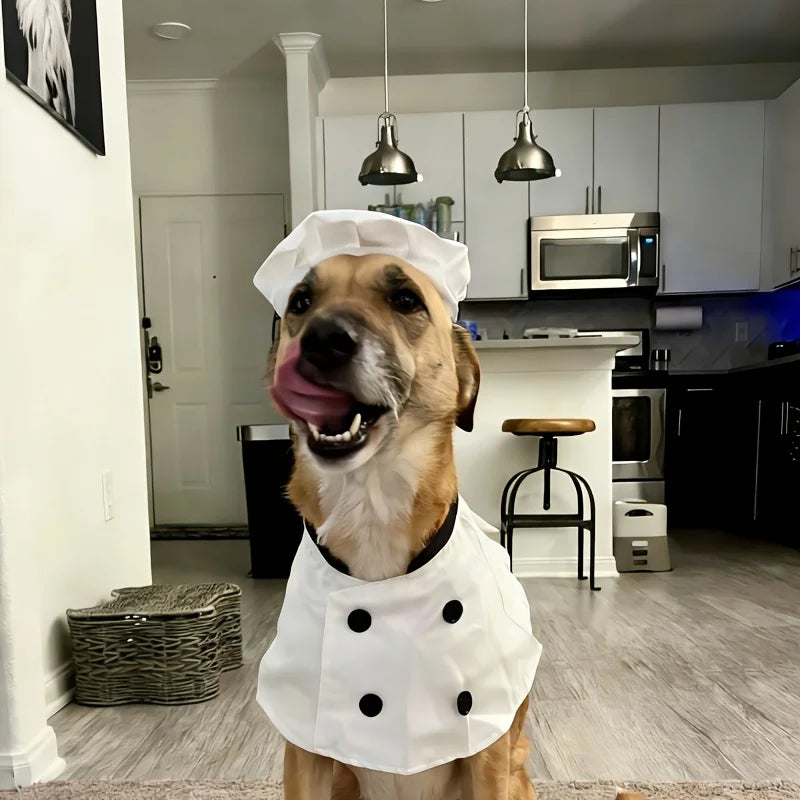 Conjunto de Fantasia para Animais de Estimação Top Chef com 2 Peças, Chapéu e Avental, Roupas Engraçadas e Fofas para Gatos e Cães, Fantasia de Chef para Cães em Feriados, Roupas com Tema de Restaurante