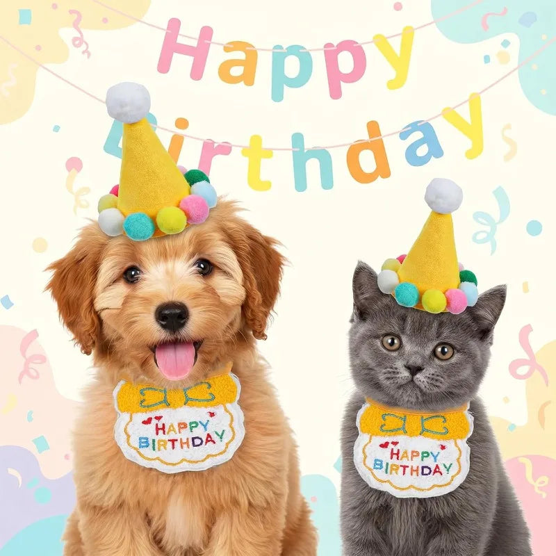 Chapéu de Festa para Animais de Pelúcia, Chapéus de Aniversário para Cães, Gatos, Coelhos, Filhotes, e Roupas para Gansos, Decoração de Patos de Plástico e Cimento