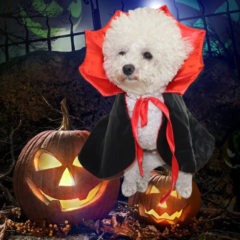 Halloween Vampire Cloak para Pet, Fantasias Cosplay para Cachorro Pequeno, Gato, Gatinho, Vestido de Cachorrinho, Roupas Kawaii, Acessórios para Gato, Bonito
