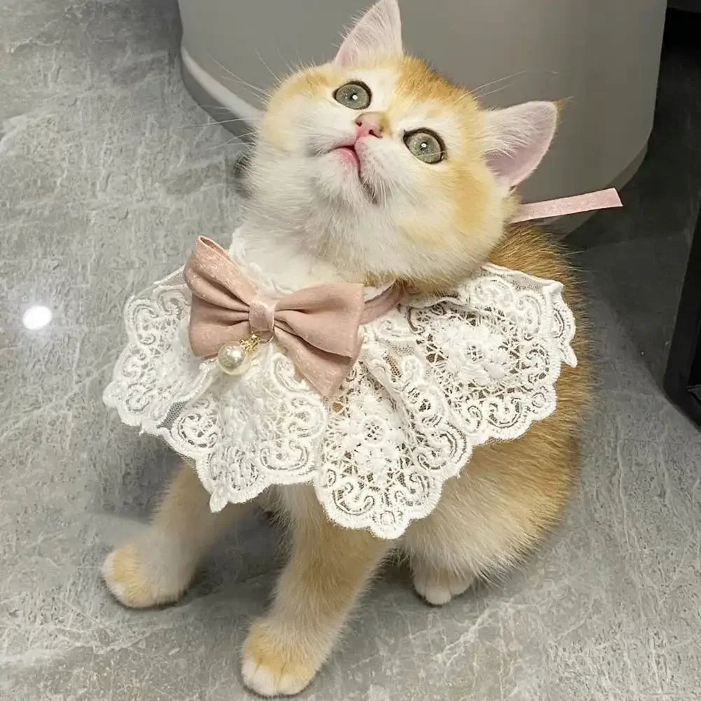 Laço bowknot pérola colar gato cão neckerchief pet gatos gatinho cão filhote de cachorro corda babador colar gravata pescoço cinta cachecol acessórios