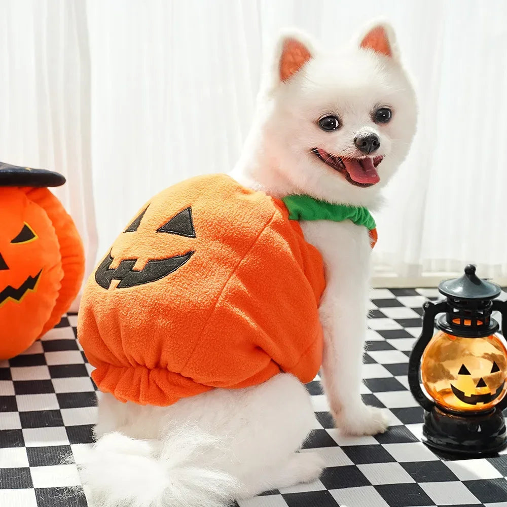 Fantasias de Halloween para Cães, Traje Engraçado de Abóbora Lanterna, Roupa de Transformação para Cães e Gatos de Duas Patas, Chapéu de Abóbora Fofo, Jaqueta para Cães