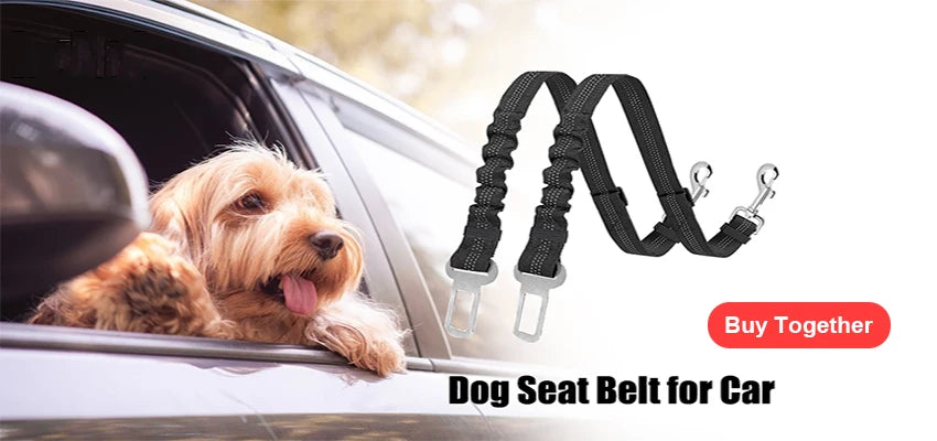 Coleira Peitoral Personalizada para Cães, Sem Puxões, Refletiva e Respirável, Colete para Cães Pequenos e Grandes, Acessórios para Passeio e Treinamento ao Ar Livre