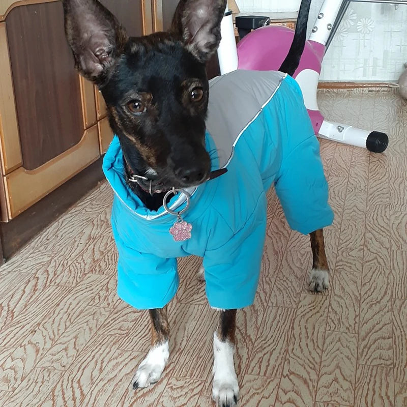 Quente engrossar masculino feminino cão macacão para cães pequenos inverno pet donw jaqueta yorkshire pug bichon macacão filhote de cachorro mascotas roupas