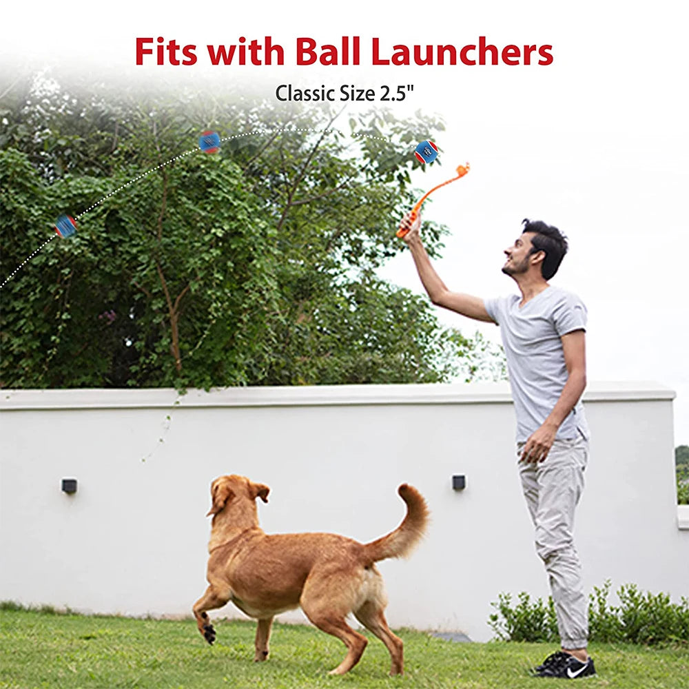 Bola de tênis estridente para cães de estimação, brinquedos interativos para cães, bola de borracha com som de alto salto para treinamento de cães, bola de brincar ao ar livre, presente para cachorros