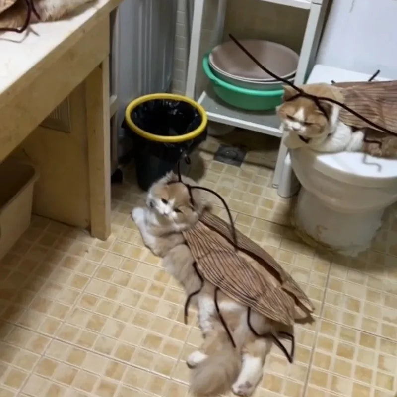 Fantasia de Gato com Capuz de Barata para Halloween, Traje Engraçado para Animais de Estimação, Roupa para Festas e Festivais, para Gatinhos e Filhotes de Porte Pequeno e Médio, Adereços para Fotos