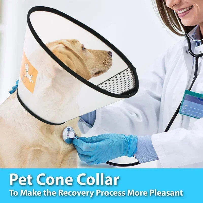 Coleira anti mordida Elizabeth para cães pequenos e grandes, anel de recuperação Cone, gatos cicatrização de feridas no pescoço